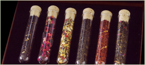 complete hot tea service, iced tea service, tea supplies, hot tea, iced tea, mighty leaf tea, shangri-la iced tea